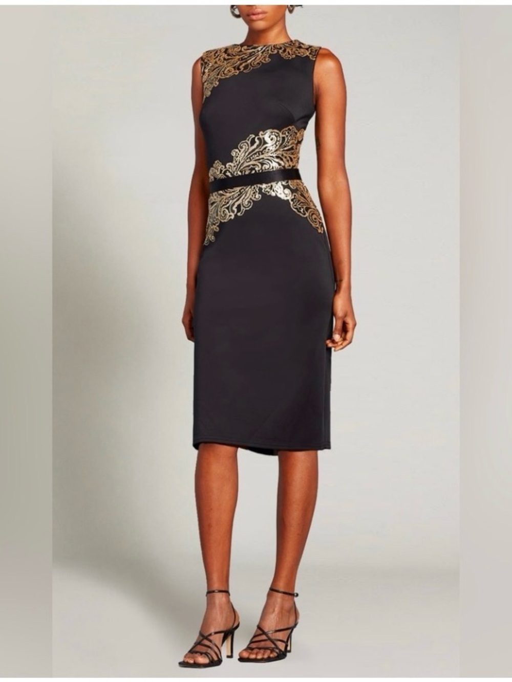 Tadashi Shoji Elanur Dress NWT